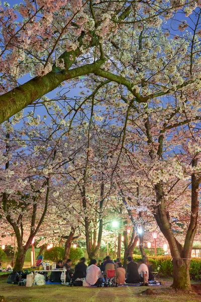 Wakayama Japão Março 2018 Pessoas Fazendo Piqueniques Sob Floração Cerejeiras — Fotografia de Stock