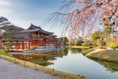 Japonya 'nın Kyoto ilindeki Uji şehrindeki Byodo-in Budist tapınağının Phoenix Hall ve Jodo-Shiki bahçesi.