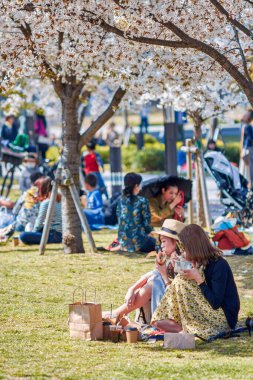 Osaka / Japonya - 28 Mart 2018: Kiraz ağaçlarının altında piknik yapan kızlar, Japonya 'nın Osaka kentinde kiraz çiçekli sakura manzarasının tadını çıkarıyorlar