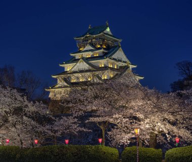 Japonya, Osaka 'da kiraz çiçekleri mevsiminde güzel Osaka kalesinin akşam manzarası