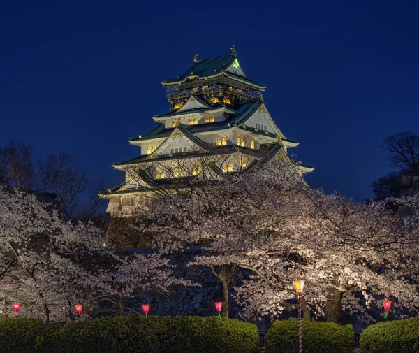 Vista Nocturna Del Hermoso Castillo Osaka Durante Temporada Flores Cerezo — Foto de Stock