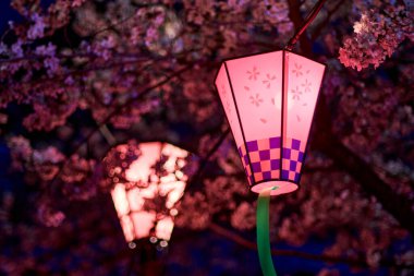 Japonya 'nın Osaka kentindeki kiraz çiçeği mevsiminde Sakura, yozakura' yı izlemek için Osaka şatosu parkında süslemeli elektrik fenerleri asılıydı.