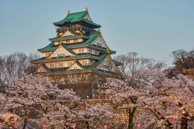 Japonya 'nın Osaka kentinde bahar mevsiminde kiraz çiçekleri açan güzel Osaka kalesi.