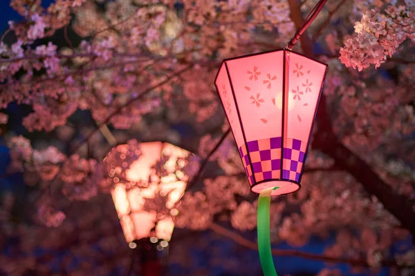 Dekorative Elektrische Laternen Die Schlosspark Von Osaka Aufgehängt Wurden Sakura — Stockfoto
