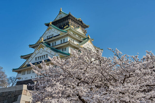 Красивый замок Осака с цветущей вишней в весенний сезон Сакура в Осаке, Япония
