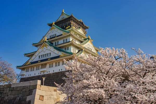 Hermoso Castillo Osaka Con Flores Cerezo Sakura Temporada Primavera Osaka — Foto de Stock