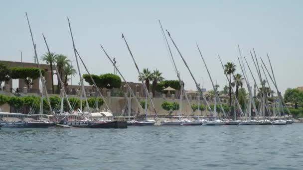이집트 관광지인 룩소르에 나일강에 전통적 강배들 — 비디오
