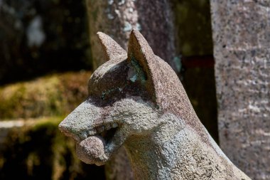 Japonya 'nın Kyoto kentindeki Fushimi Inari Shinto tapınağında bir Kitsune heykeli, Japon Shinto kızıl tilki tanrısı.