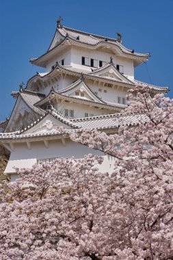 Himeji Şatosu kiraz çiçekli sakura mevsimi sırasında Himeji, Hyogo Bölgesi, Japonya