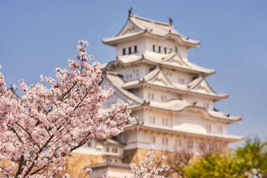 Himeji Şatosu kiraz çiçekli sakura mevsimi sırasında Himeji, Hyogo Bölgesi, Japonya