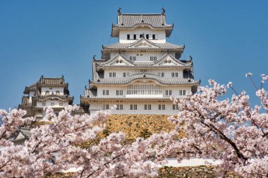 Himeji Şatosu kiraz çiçekli sakura mevsimi sırasında Himeji, Hyogo Bölgesi, Japonya