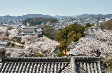 Himeji Şatosu kiraz çiçekli sakura mevsimi sırasında Himeji, Hyogo Bölgesi, Japonya