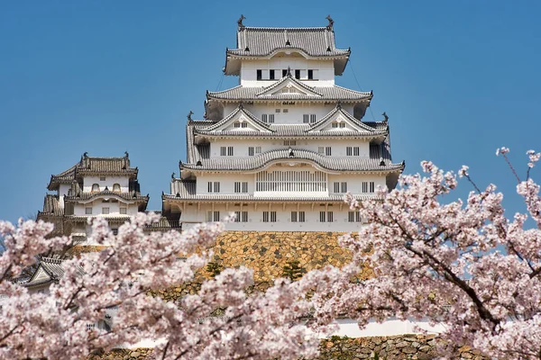 Castillo Himeji Durante Temporada Sakura Flor Cerezo Himeji Prefectura Hyogo — Foto de Stock