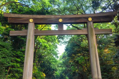 Torii kapısı Meiji Tapınağı 'na açılıyor. Meiji Tapınağı Meiji Jingu, İmparator Meiji ve eşi İmparatoriçe Shoken, Tokyo ve Japonya 'nın tanrılaştırılmış ruhlarına adanmış bir Shinto tapınağıdır.