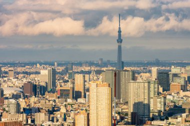 Tokyo / Japonya - 18 Nisan 2018: Tokyo Büyükşehir Binası 'ndan Tokyo şehir manzarası