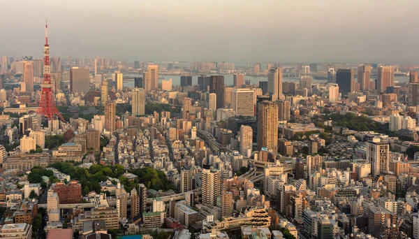 Tokio Japan April 2018 Zicht Het Tokio Stadsgezicht Vanuit Het — Stockfoto