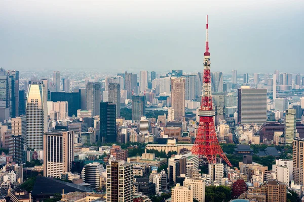 Tokyo Giappone Aprile 2018 Tokyo Tower Tokyo City Scape Vista — Foto Stock