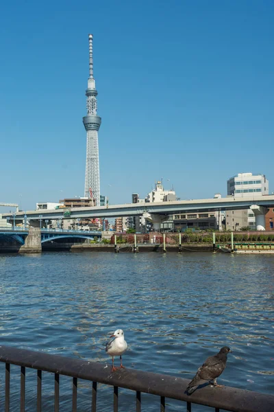 Τόκιο Ιαπωνία Απριλίου 2018 Ποταμός Σουμίντα Φόντο Skytree Του Τόκιο — Φωτογραφία Αρχείου