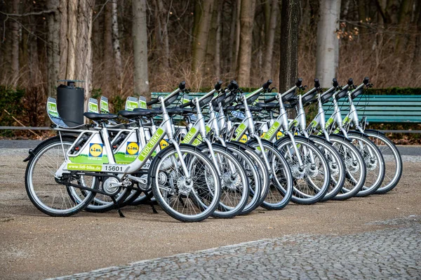 Berlin Niemcy Marca 2017 Row Lidl Bike Rental Bikes Parking — Zdjęcie stockowe