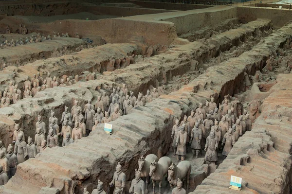 Xian China Agosto 2015 Ejército Terracota Excavó Esculturas Terracota Que — Foto de Stock