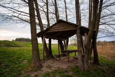 Nehir kıyısındaki ağaçların ve yeşil çayırların arasındaki eski yalnız ahşap ağaç.
