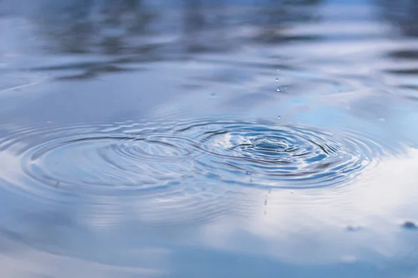 Drops fall into the water and form circles on the water