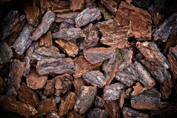 Kahverengi Islak Ağaç Kabuğu Arka Plan Olarak Yerde Yatar — Stok fotoğraf