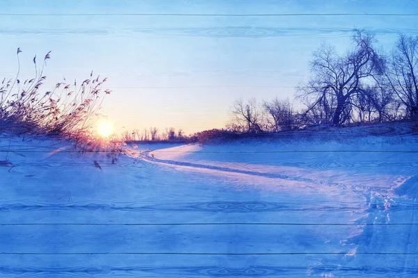 Display of winter nature background on wooden surface, sunrise. Space for your text or design.