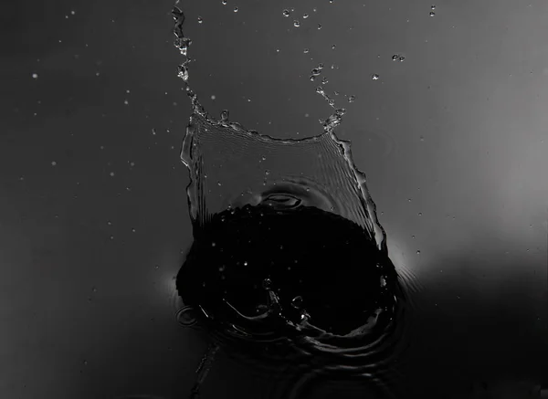 splash water on isolated black background