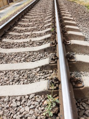 Boş demiryolu rayları mesafeye gider, görüntüyü kapatır