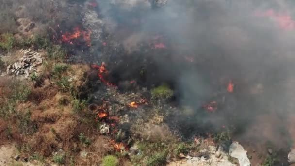 Quemadura Ilegal Residuos Domésticos Basura Fuego Humos Nubes Humo Tóxico — Vídeo de stock