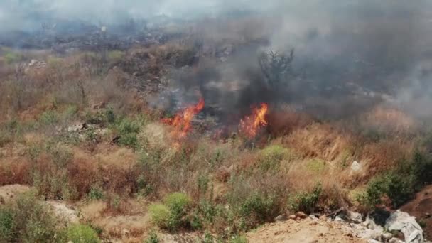 Quemadura Ilegal Residuos Domésticos Basura Fuego Humos Nubes Humo Tóxico — Vídeos de Stock