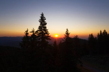 Köknar ağaçları ve dağların dramatik panoramik manzarası