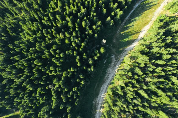 País, estrada de terra na floresta. Vista superior de um país sujeira roa — Fotografia de Stock