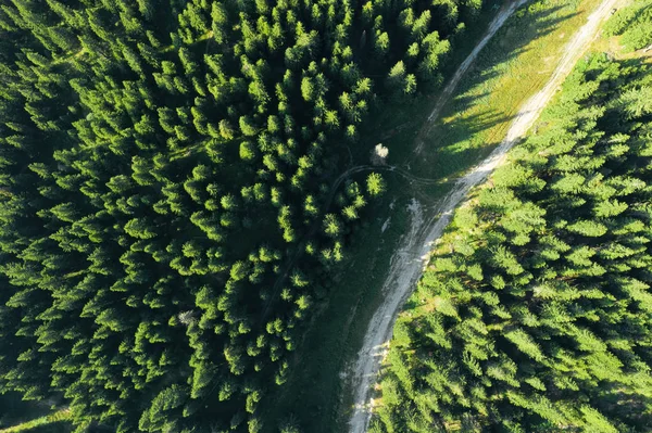 Країна, брудна дорога в лісі. Вид зверху на сільську місцевість — стокове фото