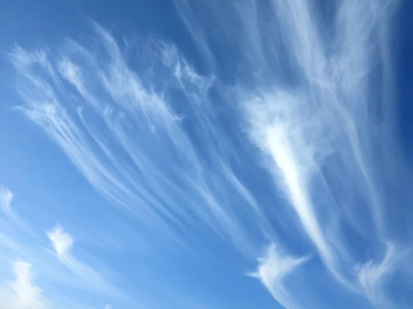 Beautiful Sky Background Unusual Cirrus Clouds Blue Sky — Stock Photo, Image