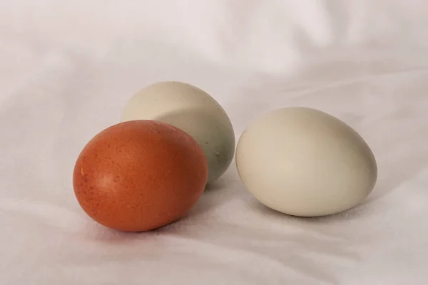Beyaz arkaplanda çiğ yumurta