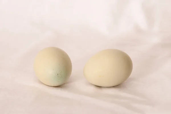 Beyaz arkaplanda çiğ yumurta