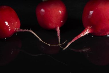 Bahar kırmızı turp ve terede taze yiyecek.