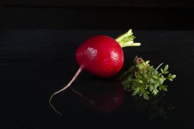 Bahar kırmızı turp ve terede taze yiyecek.