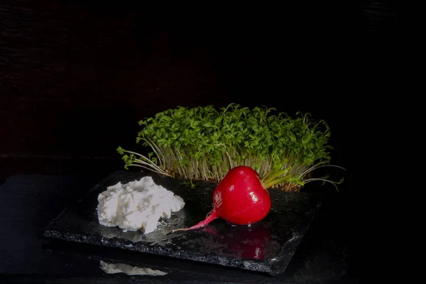 fresh food in spring red radish and cress