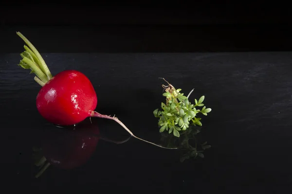 Frische Nahrung Frühling Roter Rettich Und Kresse — Stockfoto