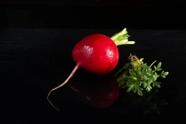 Frische Nahrung Frühling Roter Rettich Und Kresse — Stockfoto