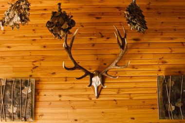 Duvardaki geyik boynuzu