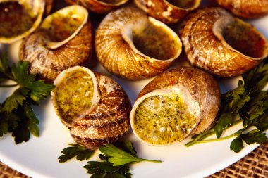 Escargots de Bourgogne - Snails