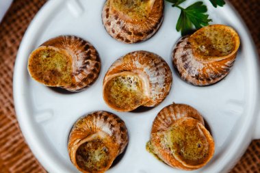 Escargots de Bourgogne - Snails
