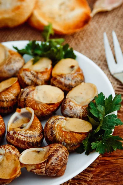 Escargots de Bourgogne - Snails — Stok fotoğraf