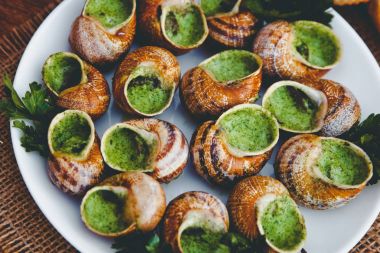 Escargots de Bourgogne - salyangoz otlar ile tereyağı, maydanoz ve beyaz tabakta ekmek ile geleneksel Fransız gurme yemek