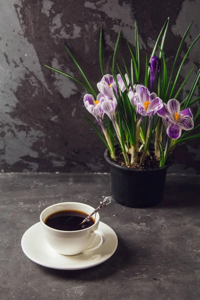 Op de tafel is een kopje koffie en een vaas met bloemen Krokussen op de achtergrond van de loft-muur — Stockfoto