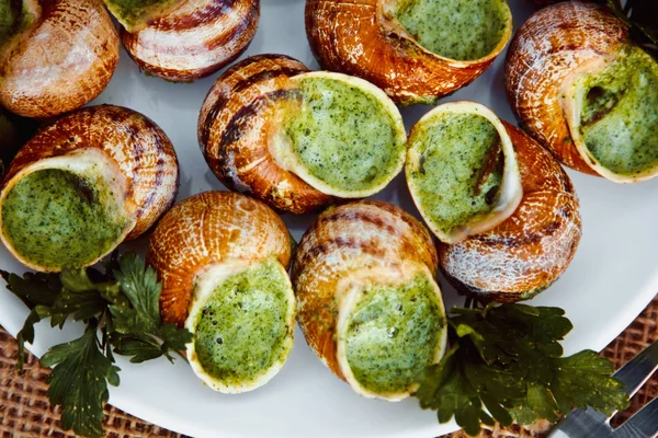 Escargots de Bourgogne - Snails with herbs butter, gourmet dish in French traditional  with parsley and bread on white platter — Stock Photo, Image